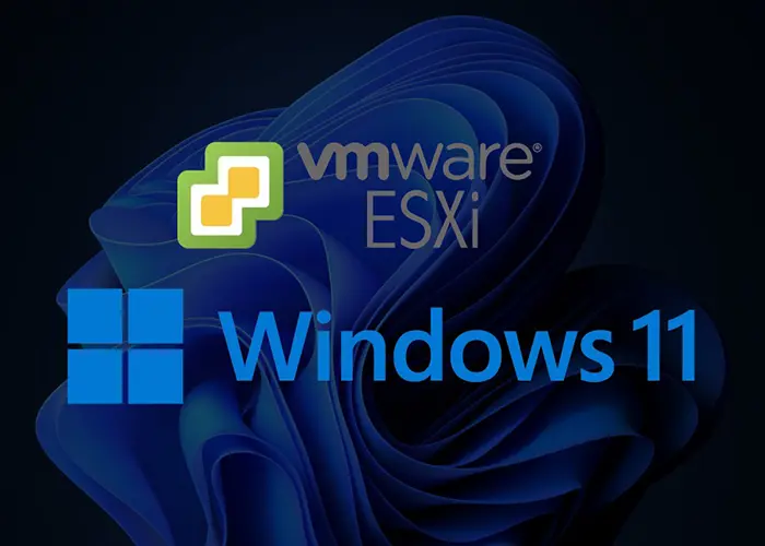 ESXi چیست؟ + مزایا، عملکرد و نحوه راه اندازی VMware ESXi